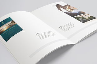 公司介紹畫(huà)冊(cè)